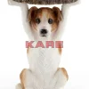 Beistelltisch Animal Mr Jack O33Cm