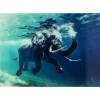 Bild Glas Swimming Elephant 180X120Cm