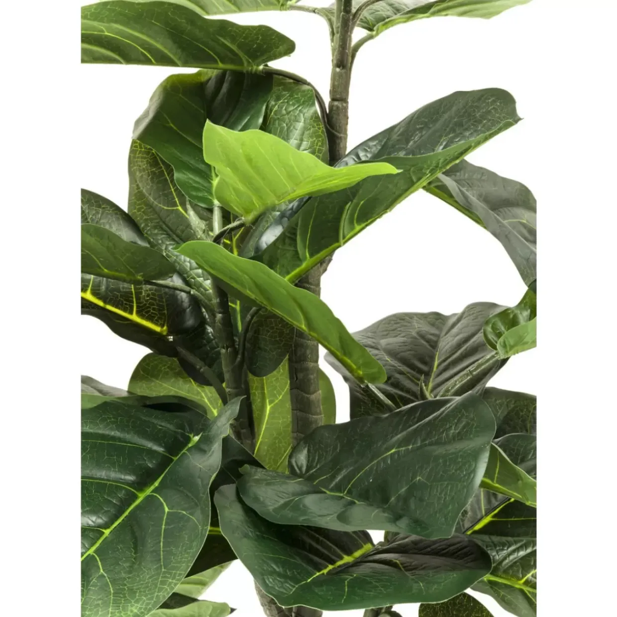 Deko Pflanze Fiddle Leaf 120Cm