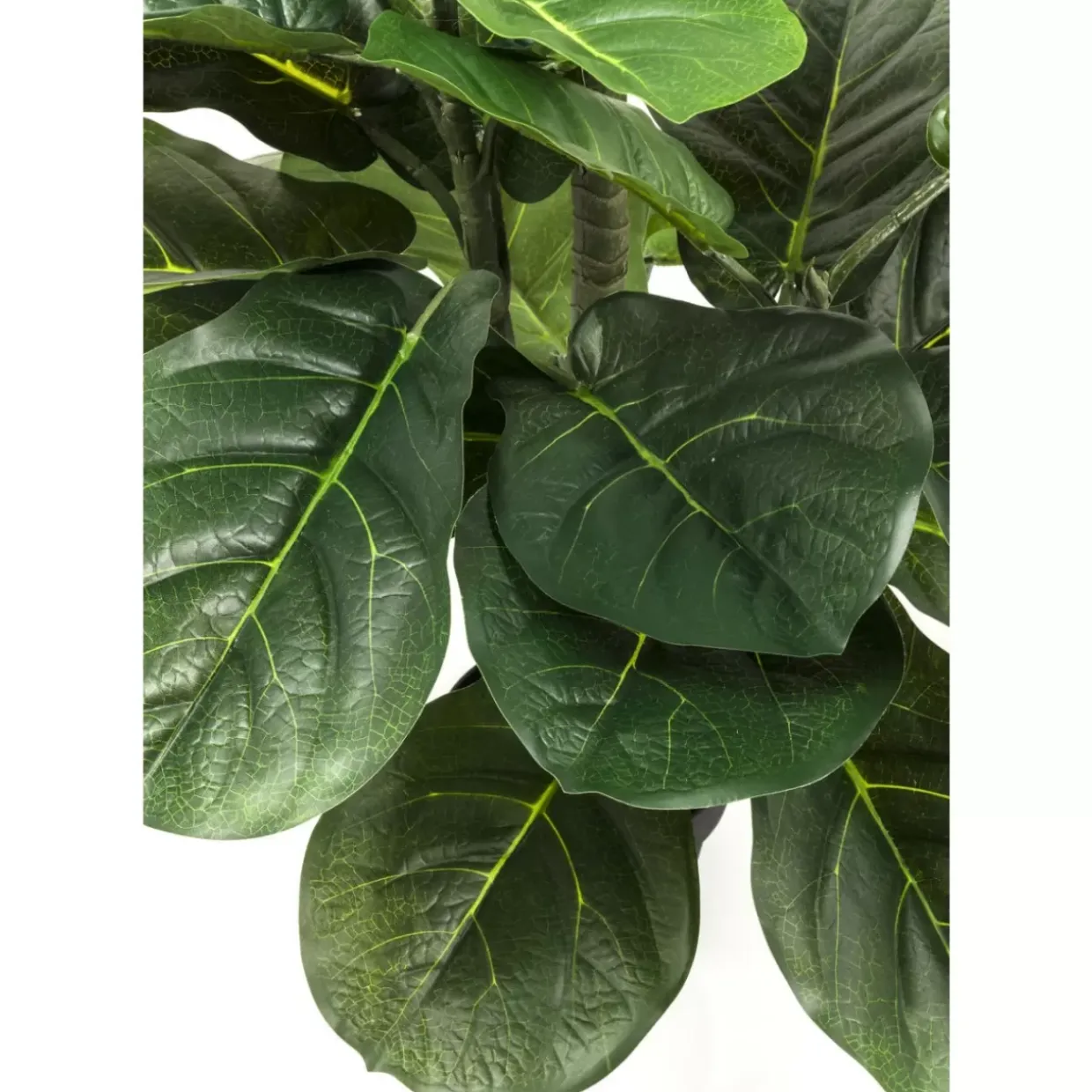 Deko Pflanze Fiddle Leaf 120Cm