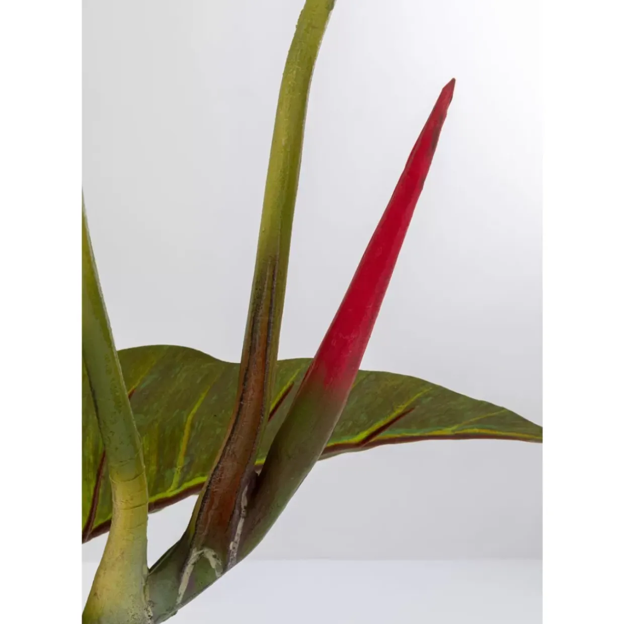 Deko Pflanze Taro 180