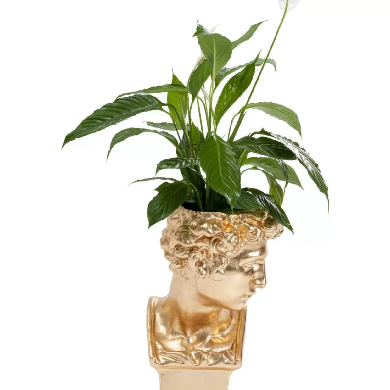 Deko Ubertopf David Gold