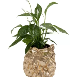 Deko Ubertopf Lion Gold