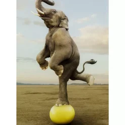 Glasbild Balance Elephant 150X100Cm