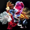 Glasbild Colorful Swarm Fish 120X120Cm