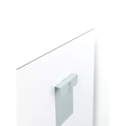 Glasbild Shiney Dung Beetle 80X120Cm