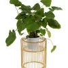 Pflanzenstander Wire Gold 44Cm