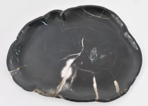 Platte Midnight Versteinertes Holz