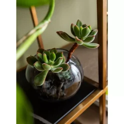 Regal Cesaro 90X170Cm