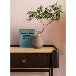 Schreibtisch Milano 140