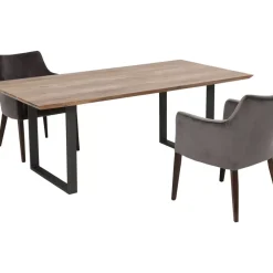 Tisch Symphony Rohstahl 160X80