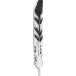 Wandobjekt Quill 77X18