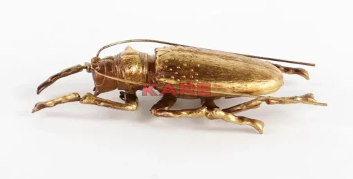 Wandschmuck Longicorn Beetle Gold